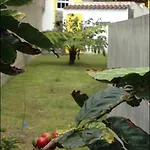 Casa de Férias Casa Auri