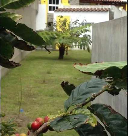 Semesterbostad Casa Auri