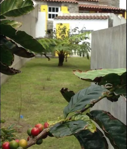 Σπίτι διακοπών Casa Auri