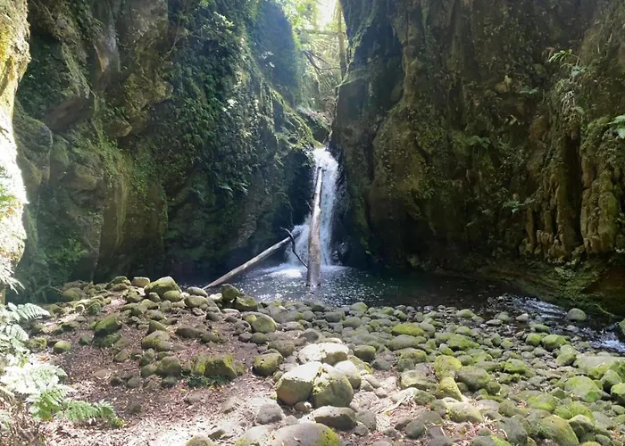 Casa Auri Faial da Terra