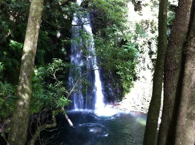 Casa Auri Faial da Terra